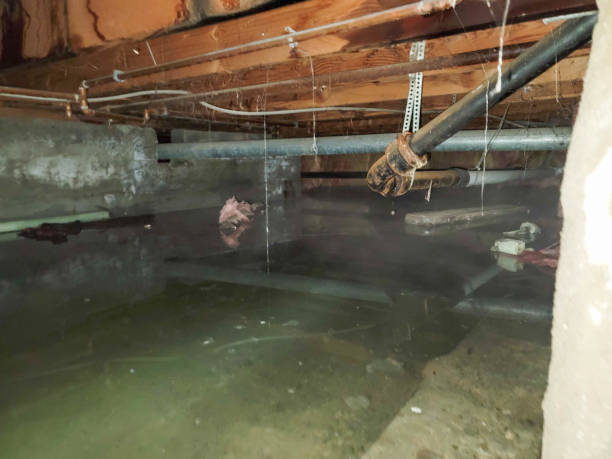 Water damage restoration process in NY