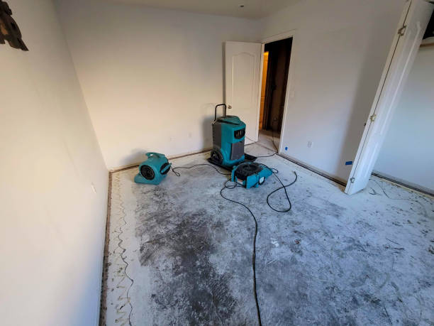 Best 24/7 water damage repair  in Seaford, NY