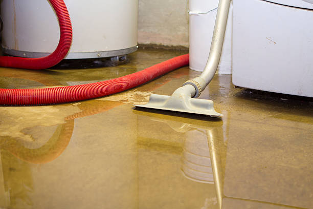 Best Water damage restoration near me  in Seaford, NY