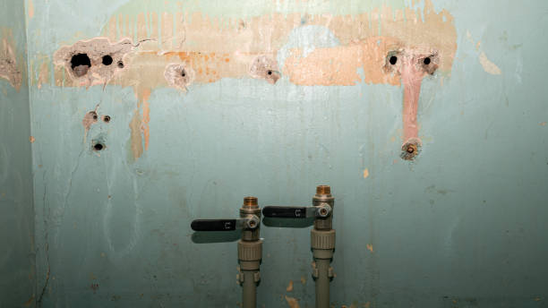 Best Mold removal after water damage  in Seaford, NY