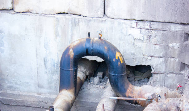Best Mold removal after water damage  in Seaford, NY